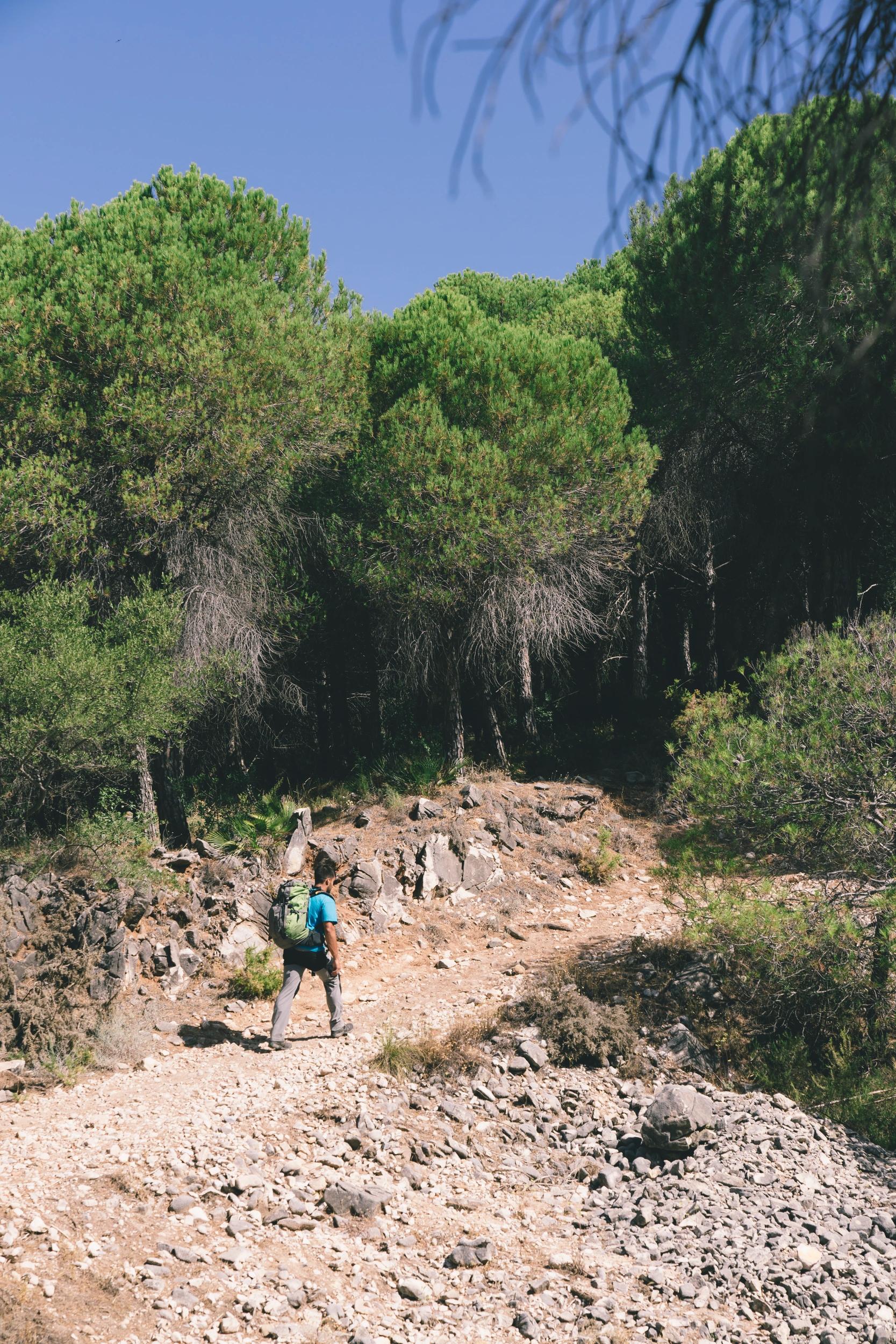 Randonnée en montagne près de Calvi et l'Île-Rousse en Corse avec vue sur la végétation méditerranéenne